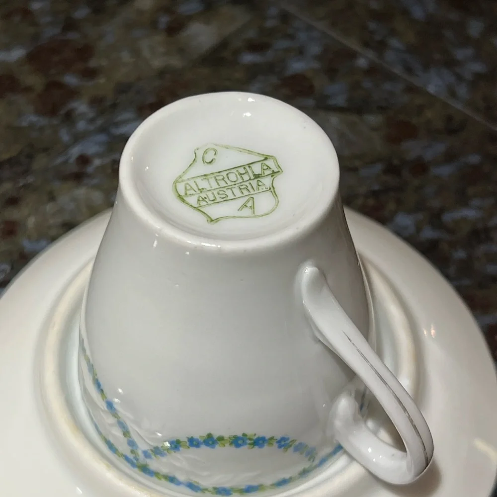Vintage Altrohla Austria Enamel Flower Porcelain Tea Cup & Saucer collectible
